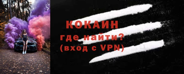 крисы Абаза