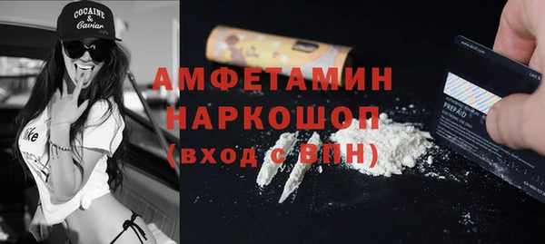 крисы Абаза