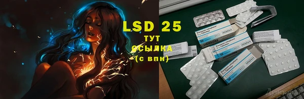 гидра Вязники