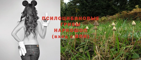стафф Абдулино