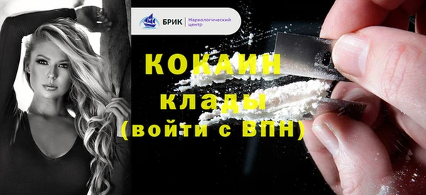 крисы Абаза